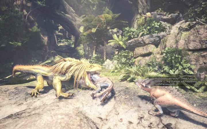 como habilitar ask to buy