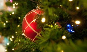 reciclar el árbol de Navidad