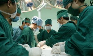 organ transplant doctors