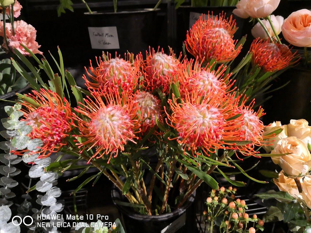 revision huawei mate 10 pro img 20180206 174556