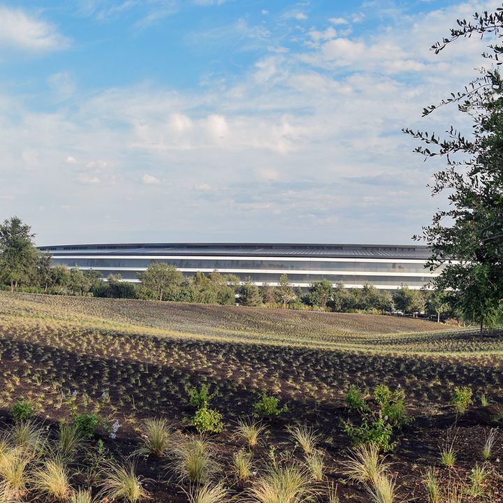 apple park