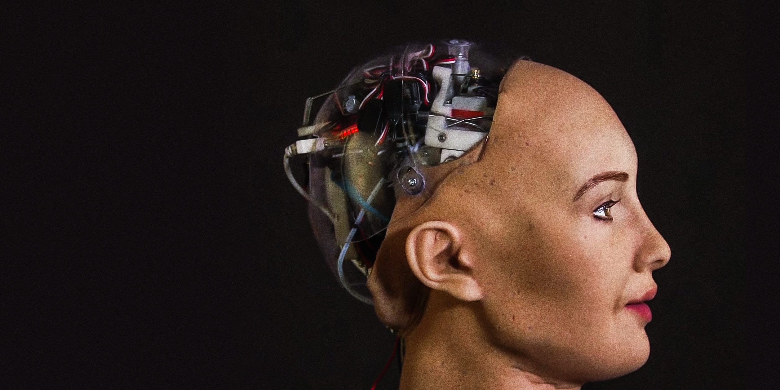 entrevista sophia robot david hanson v4