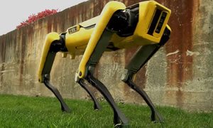 robot perro spot mini