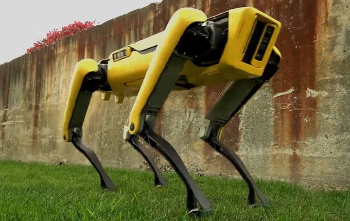 robot perro spot mini