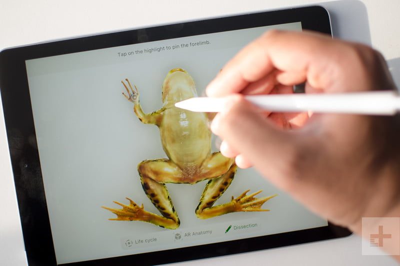 revision ipad 2018 screen frog 800x533 c