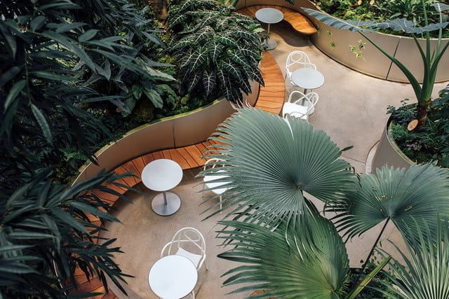 esferas amazon abiertas publico spheres patio getty 640x427 c