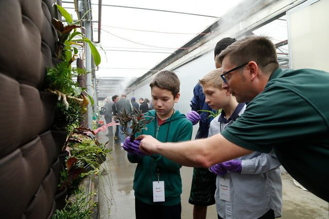 esferas amazon abiertas publico spheres teaching kids 640x427 c