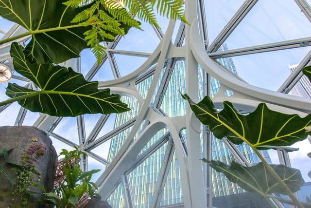 esferas amazon abiertas publico spheres white glass 640x427 c