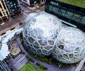 esferas amazon abiertas publico trees mem 2