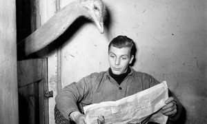 noticias semana 03 30 18 2 news