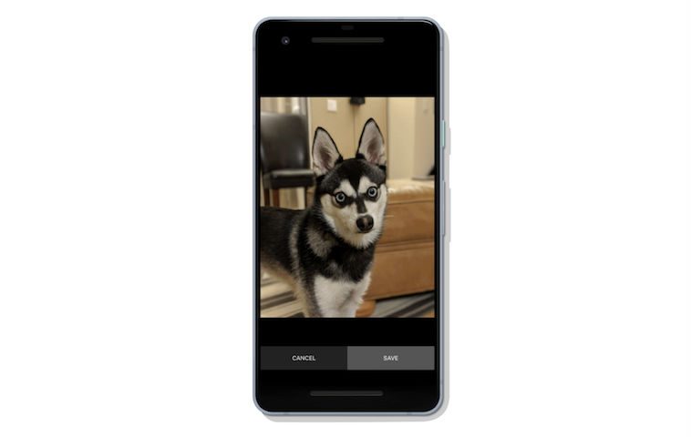 nuevas acciones google photos lens photo 02