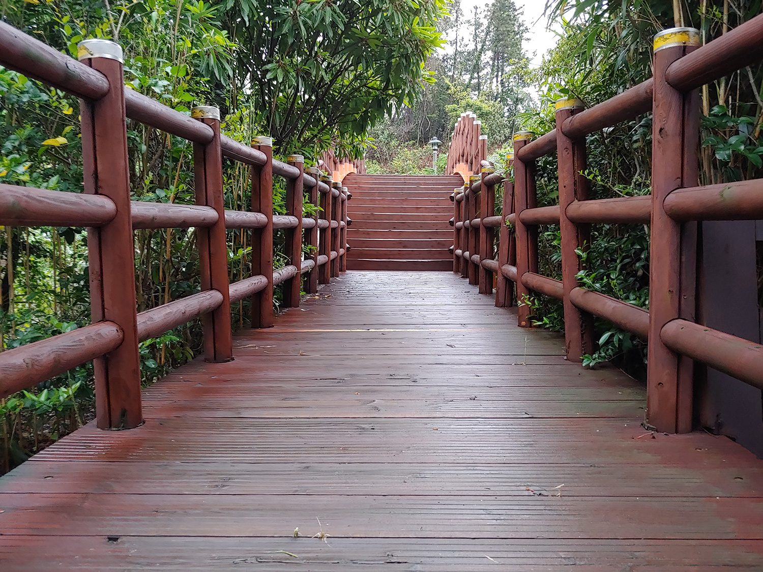 revision lg g7 thinq camera samples normal bridge