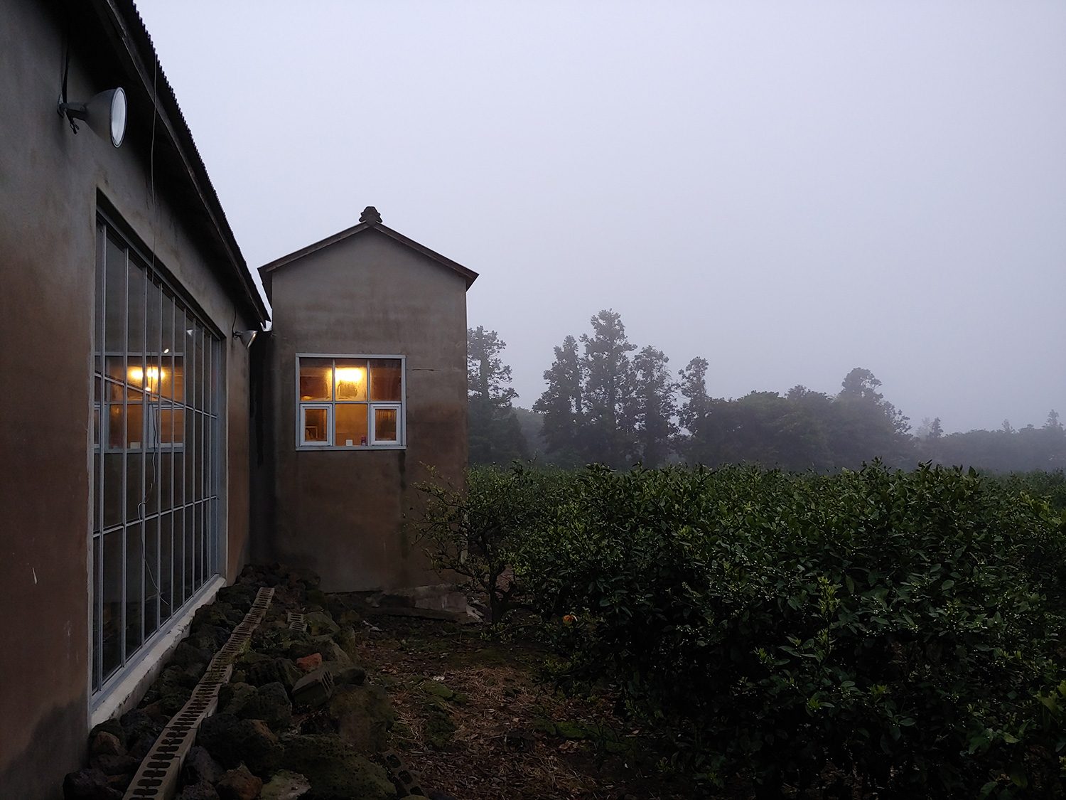 revision lg g7 thinq camera samples normal bushes