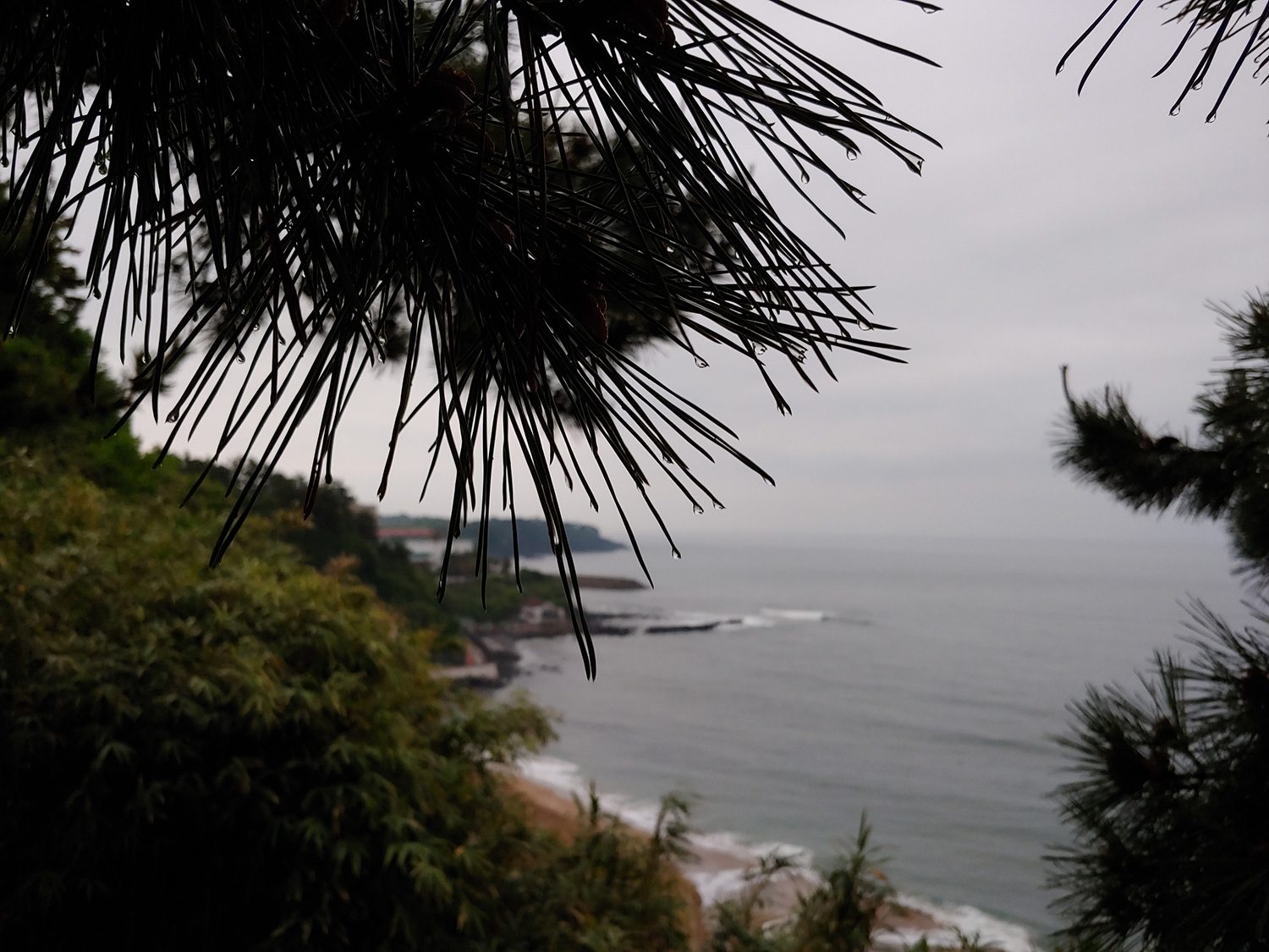 revision lg g7 thinq camera samples portrait coast left