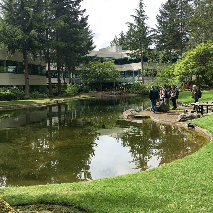 campus microsoft redmond washigton build tour lake area11