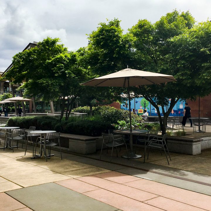 campus microsoft redmond washigton build tour outdoor cafeteria 12