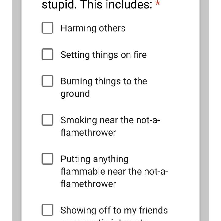 lanzallamas elon musk terminos condiciones terms 2 1