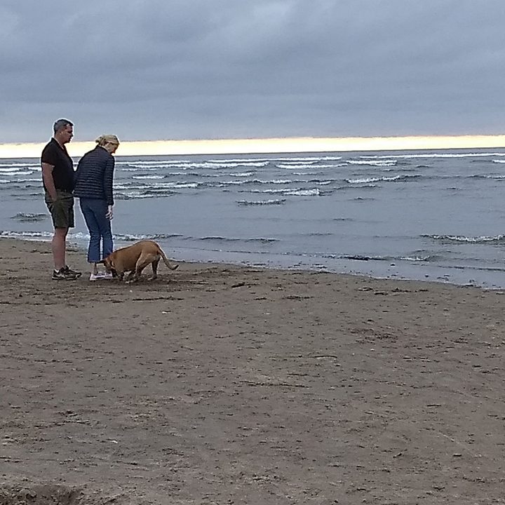 revision moto e5 play camera samples beach zoom