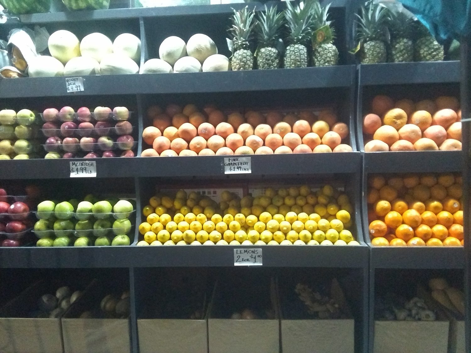 revision moto e5 play camera samples fruits 2