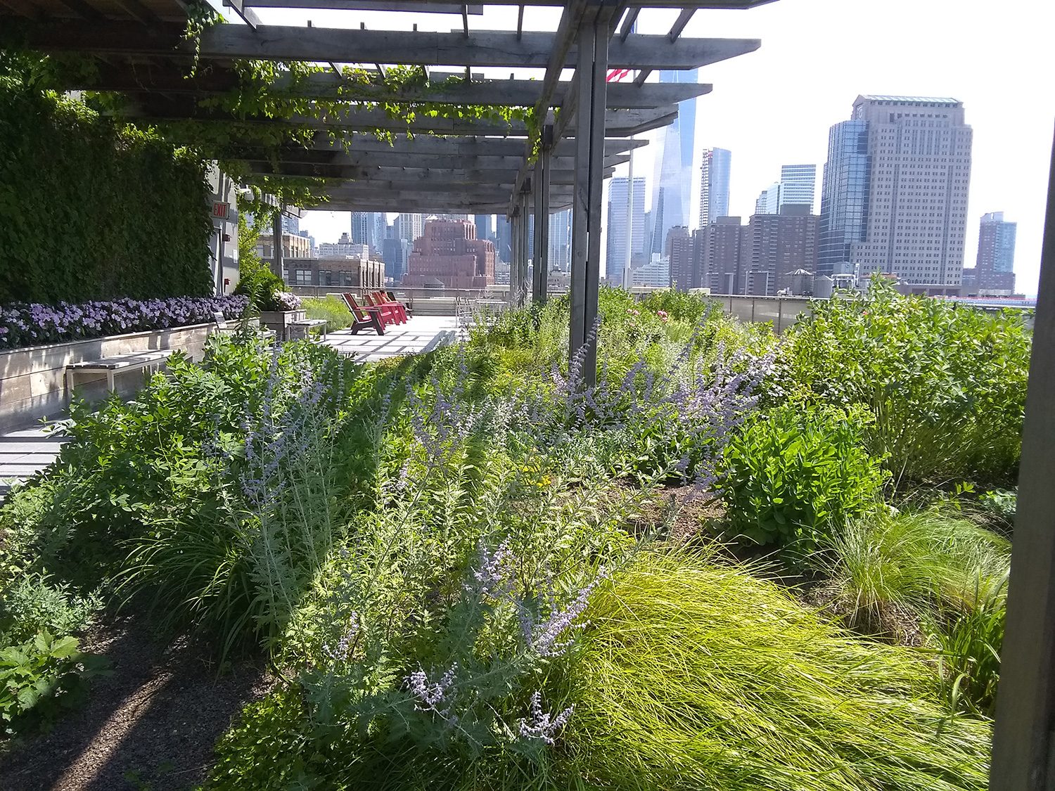 revision moto e5 play camera samples garden patio 2