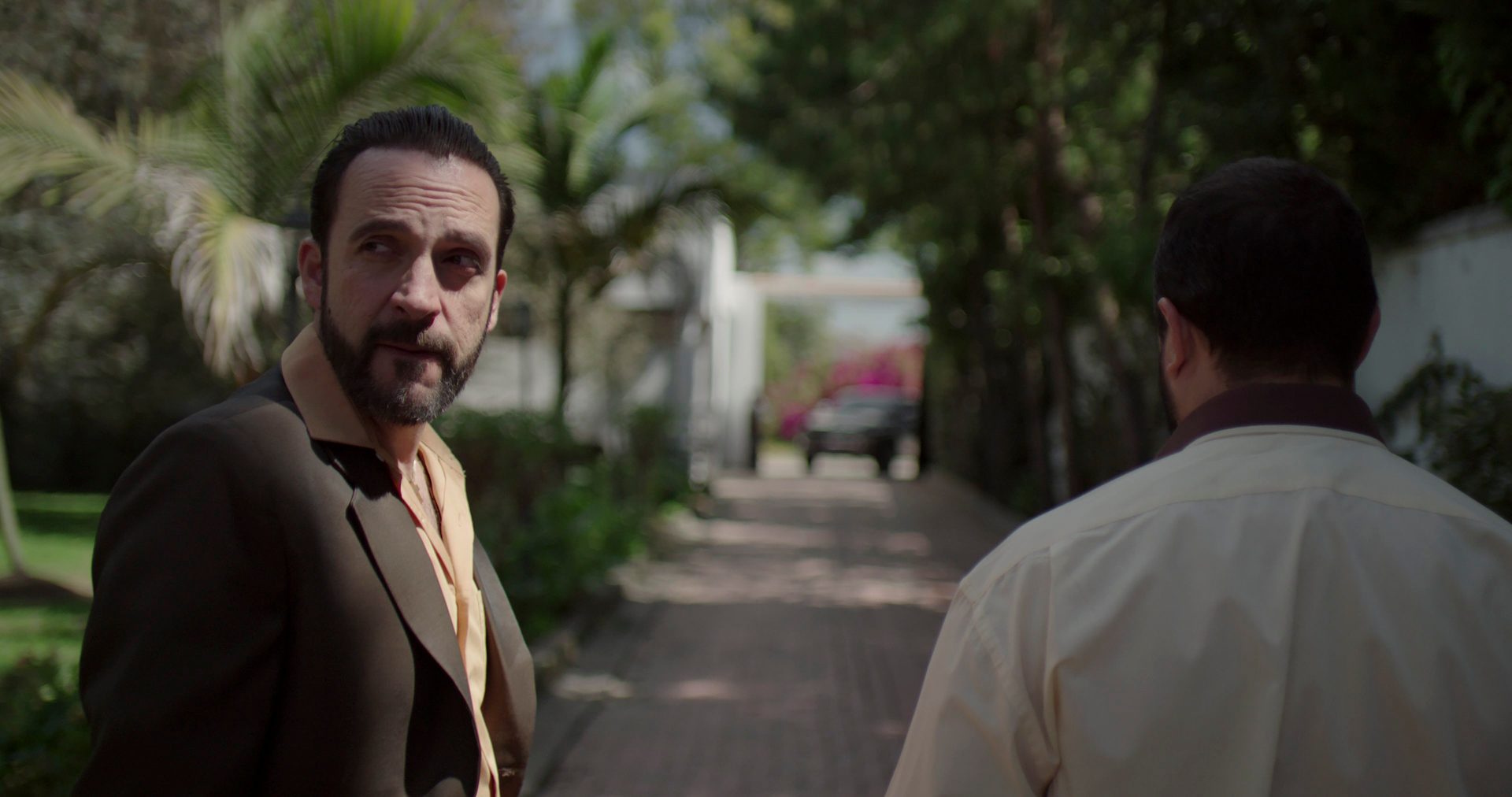 serie el chapo netflix