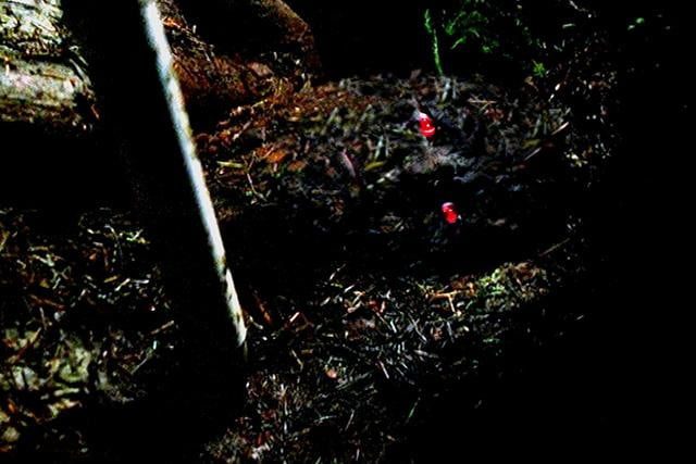 mejores capítulos de X-Files