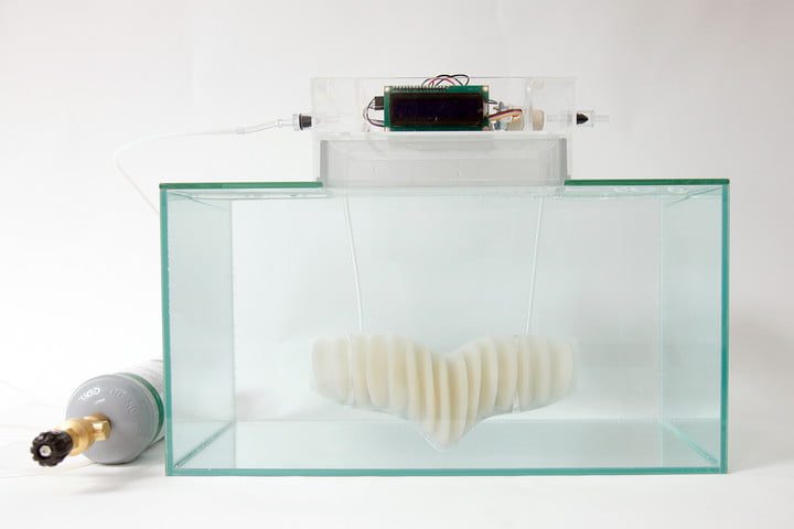 traje acuatico amphibio gills are designed to let humans breathe underwater working prototype 3 720x720