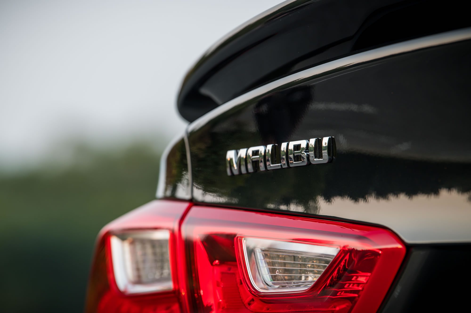 chevrolet malibu 2019 dsc 7428