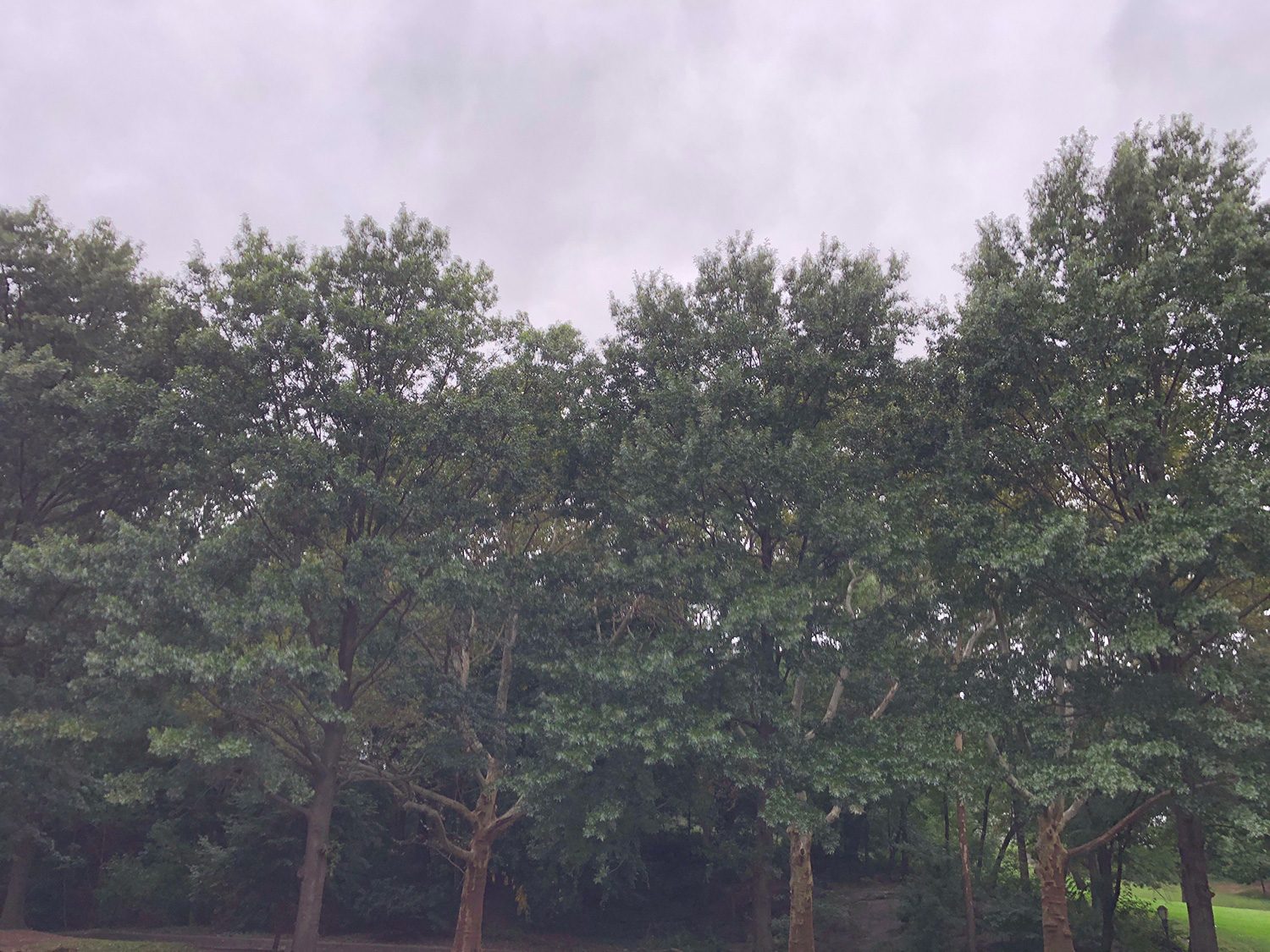 revision iphone xs max x hdr  1