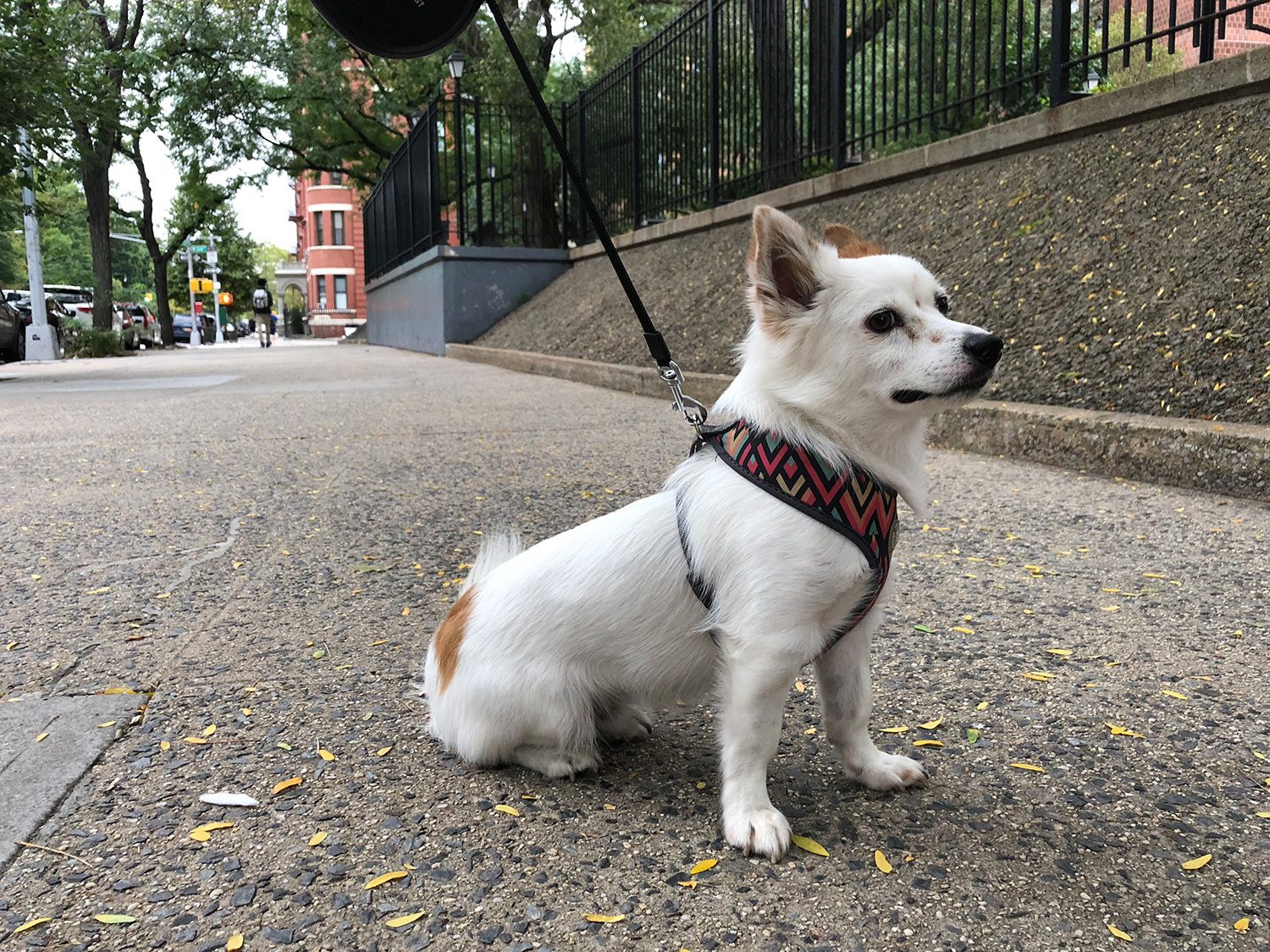 revision iphone xs max x hdr  2