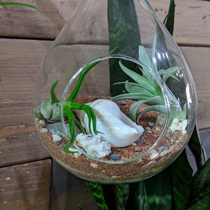 pixel 3 3xl google revision 00000portrait 00000 burst20181013133242709