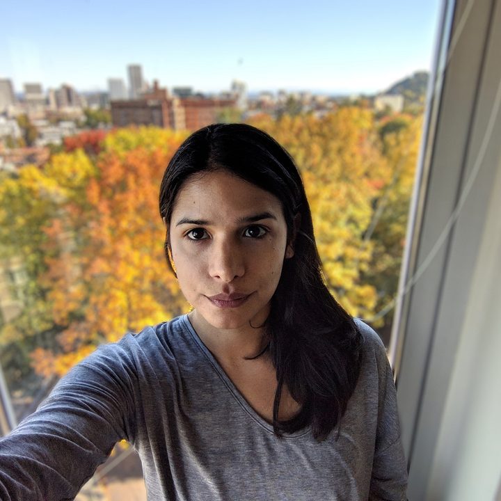 pixel 3 3xl google revision wide angle and bokeh