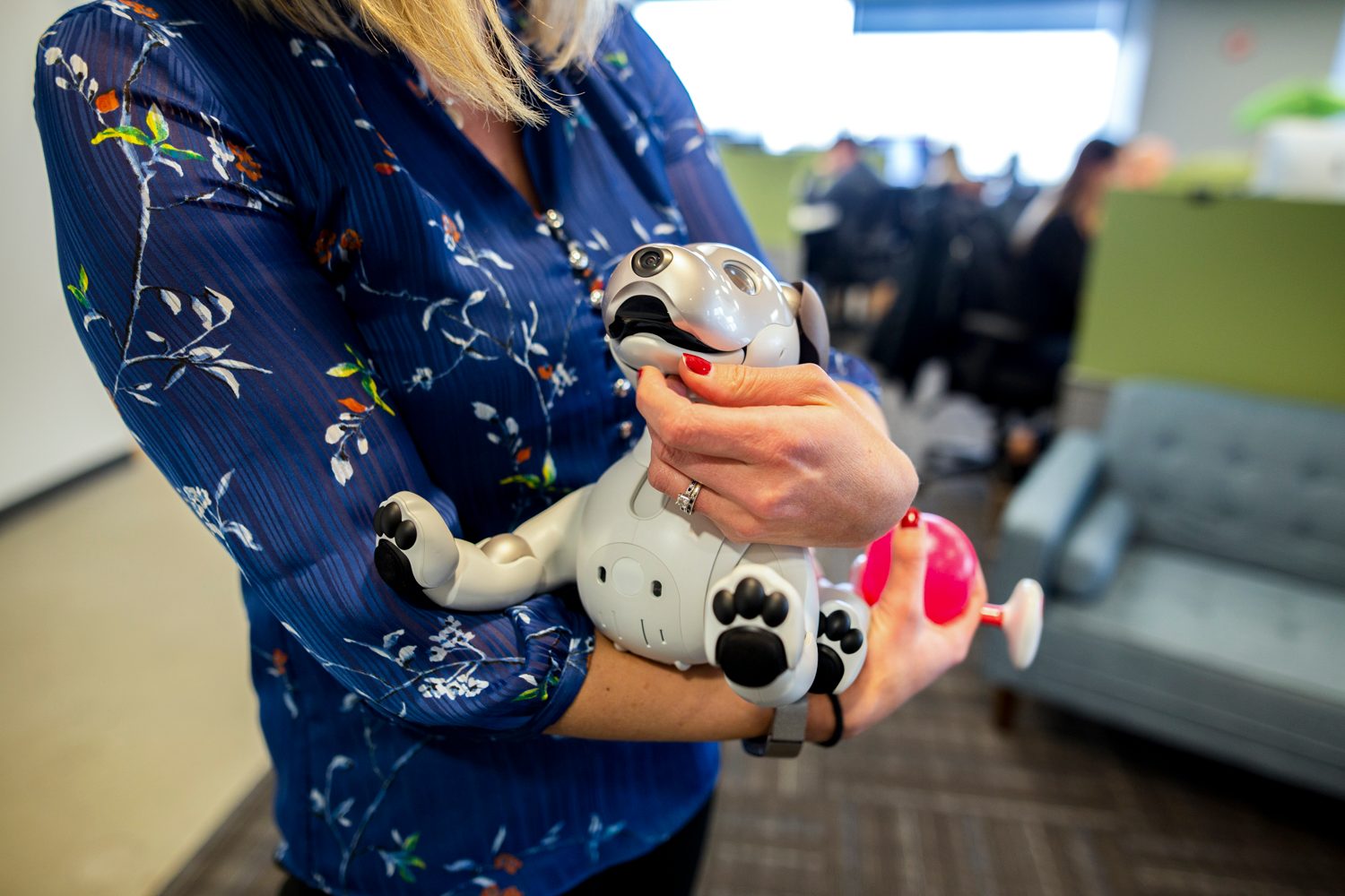 jugando con aibo perro robot sony the robodog 1