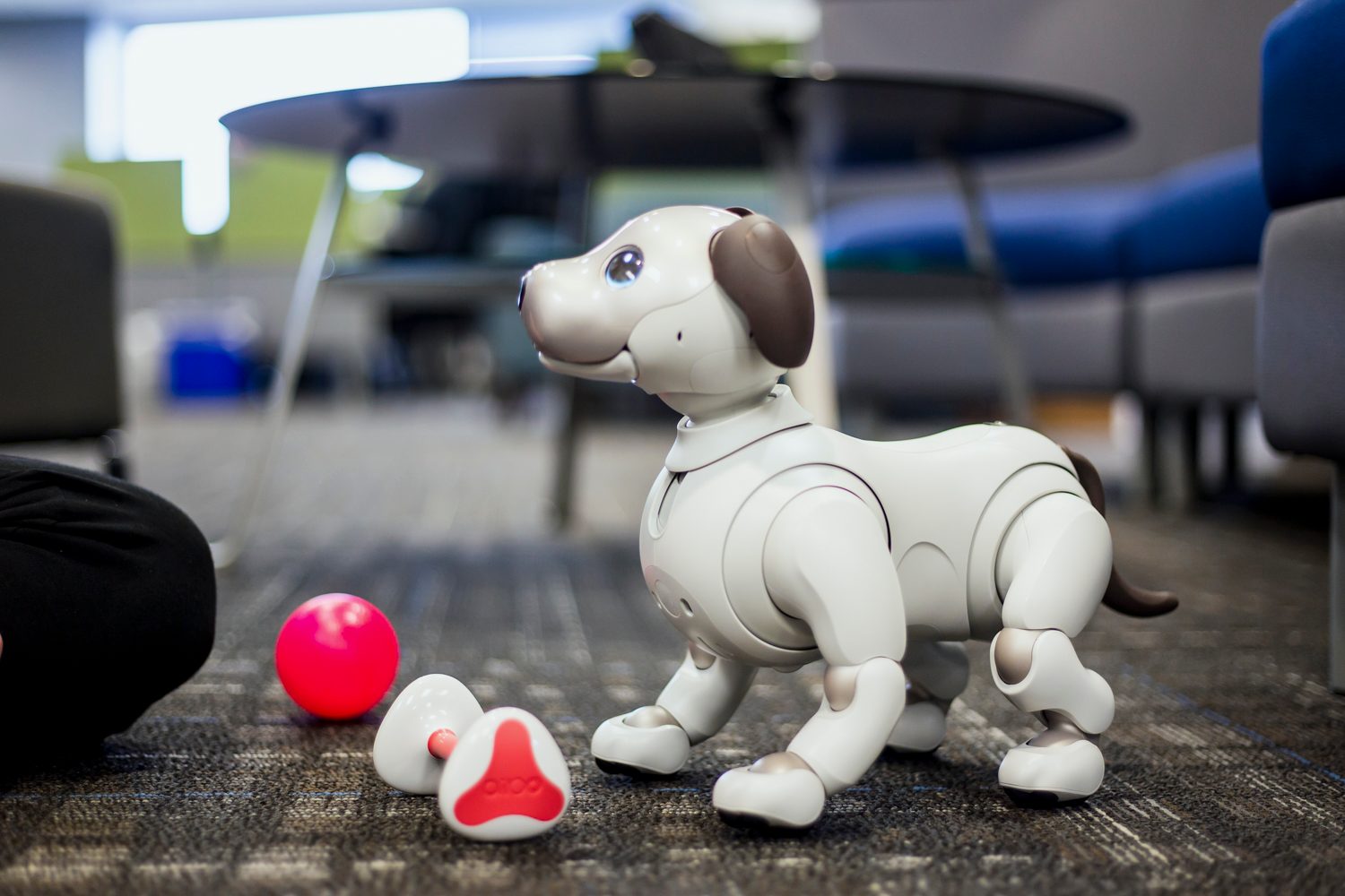 jugando con aibo perro robot sony the robodog 20