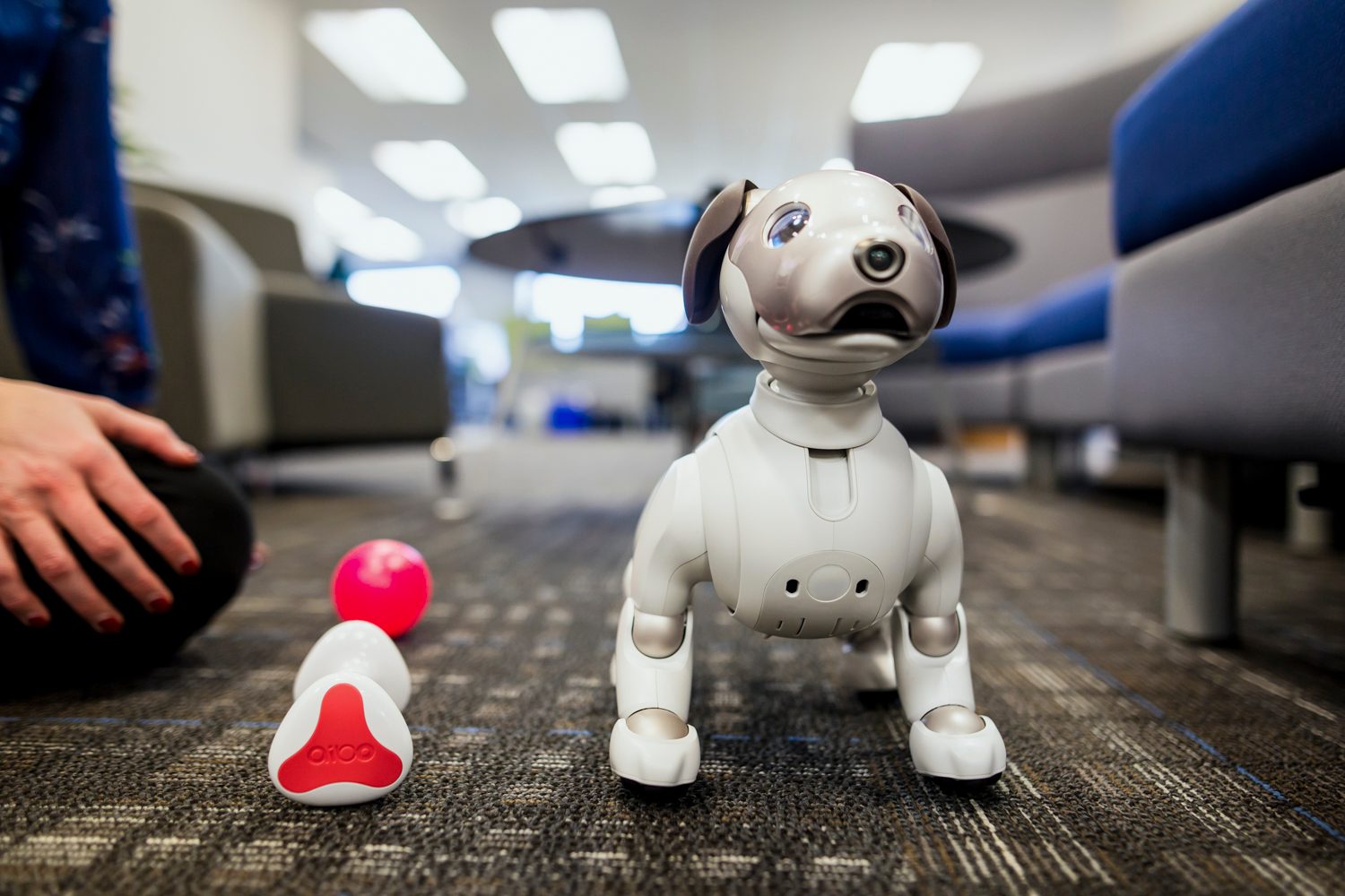 jugando con aibo perro robot sony the robodog 21