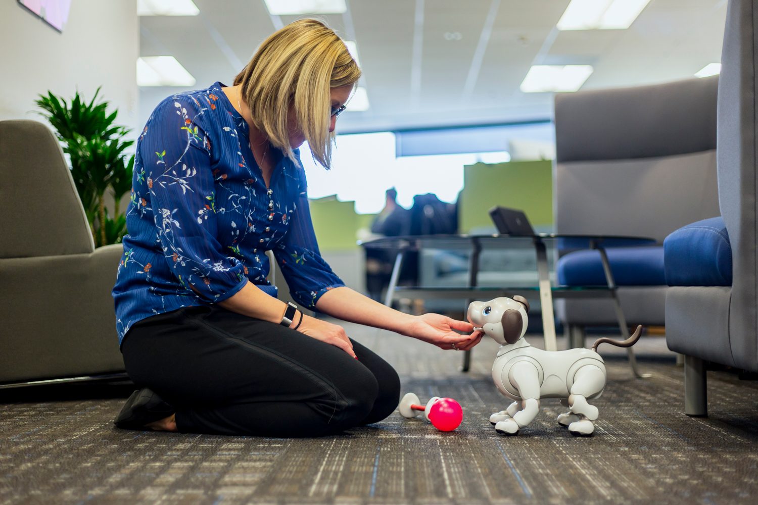 jugando con aibo perro robot sony the robodog 4