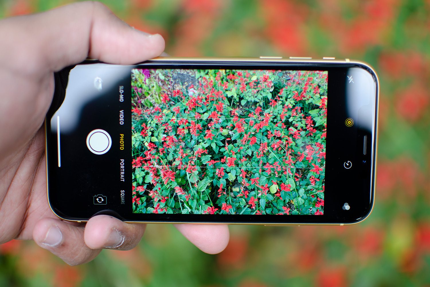 revision apple iphone xr review camera app