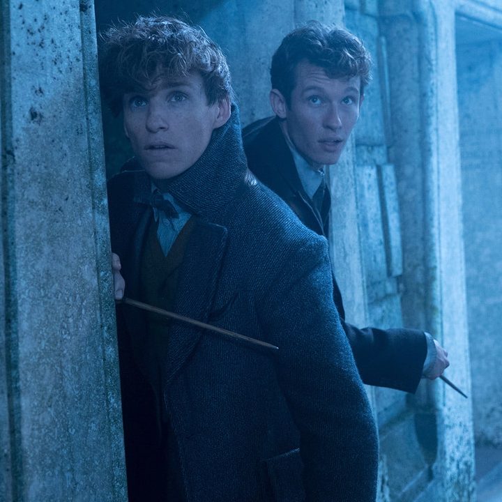 fantastic beasts harry potter 2 review 8 1500x1000