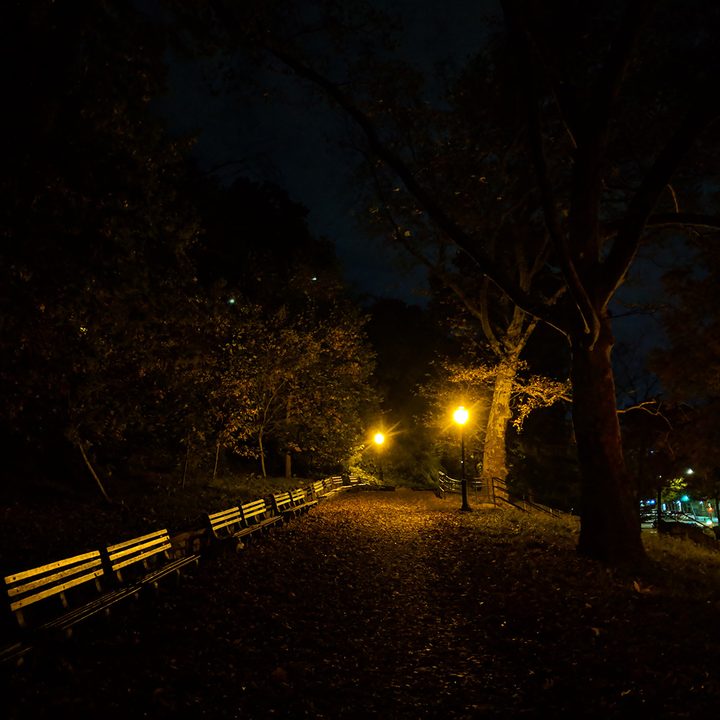 night sight fotos telefonos pixel park off