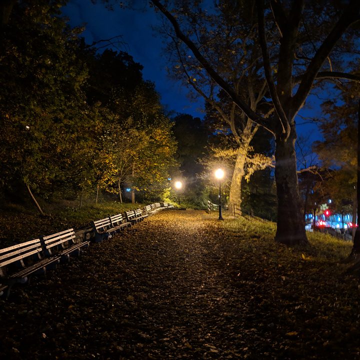 night sight fotos telefonos pixel park