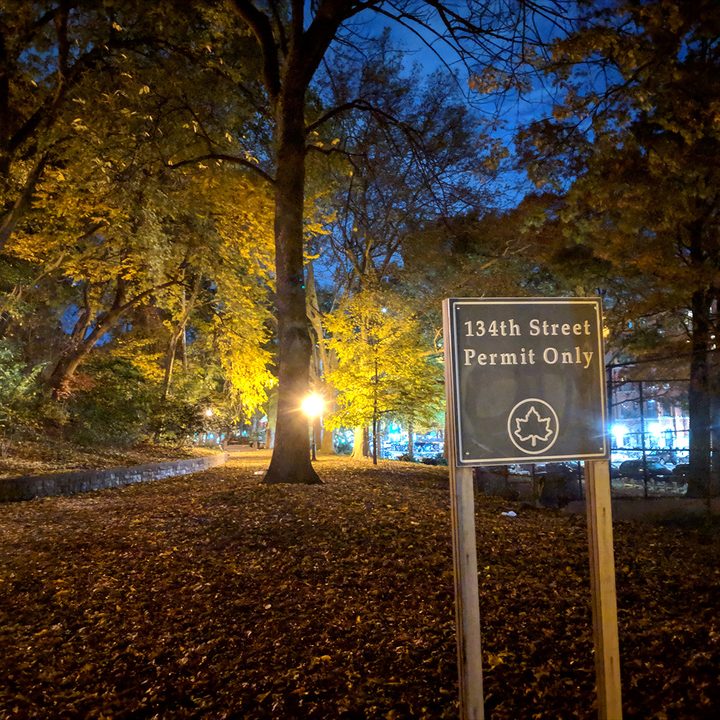 night sight fotos telefonos pixel park sign