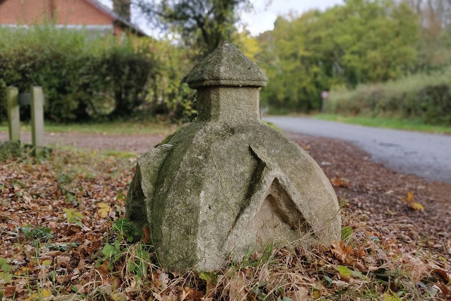 revision oneplus 6t review camera sample 3