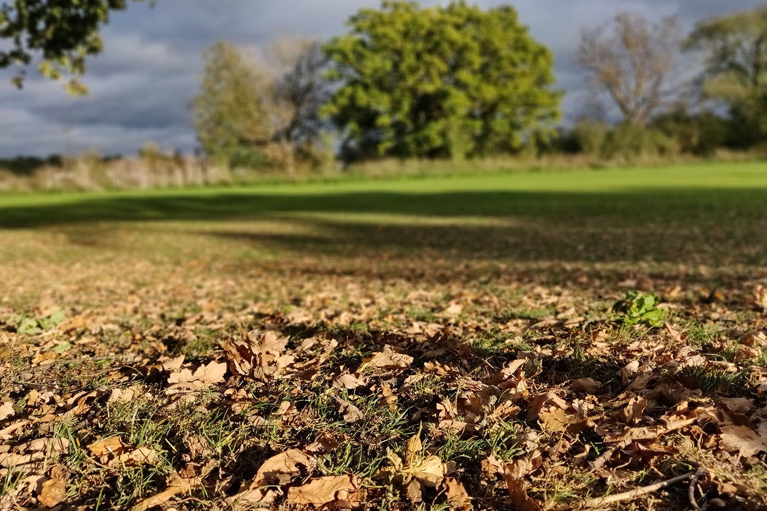 revision oneplus 6t review camera sample 4