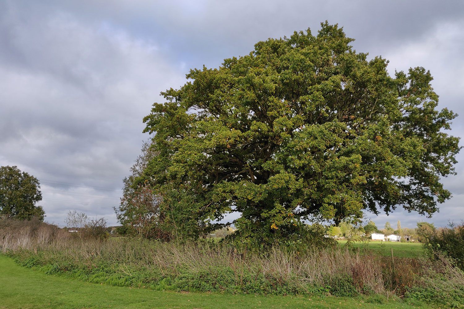 revision oneplus 6t review camera sample 6