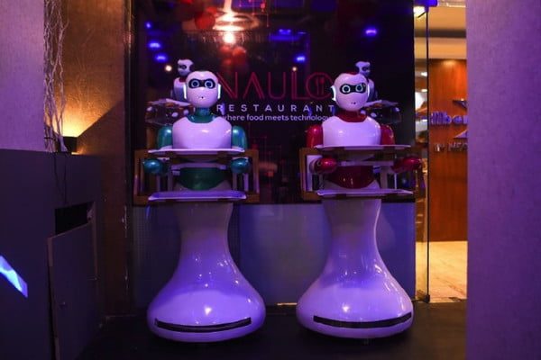 robot mesero ginger 2