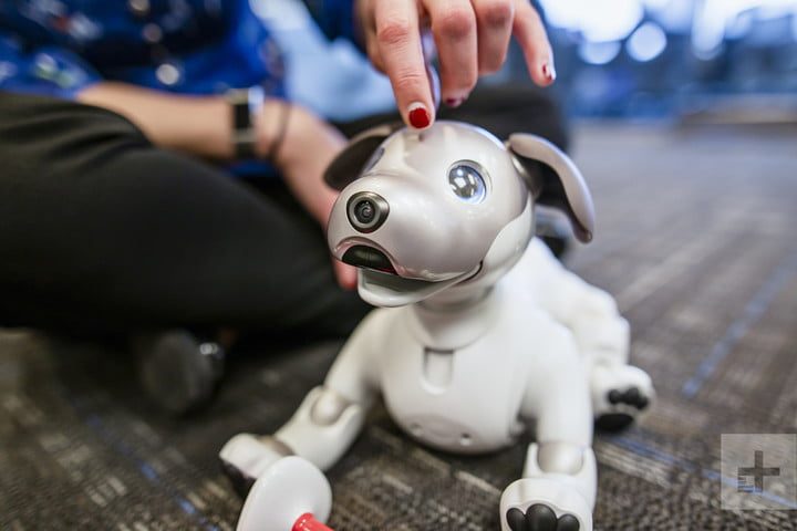 inteligencia artificial futuro sony aibo robot dog 29983 720x720