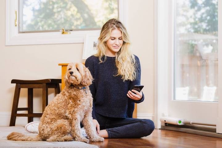 Persona con su mascota en la sala de la casa