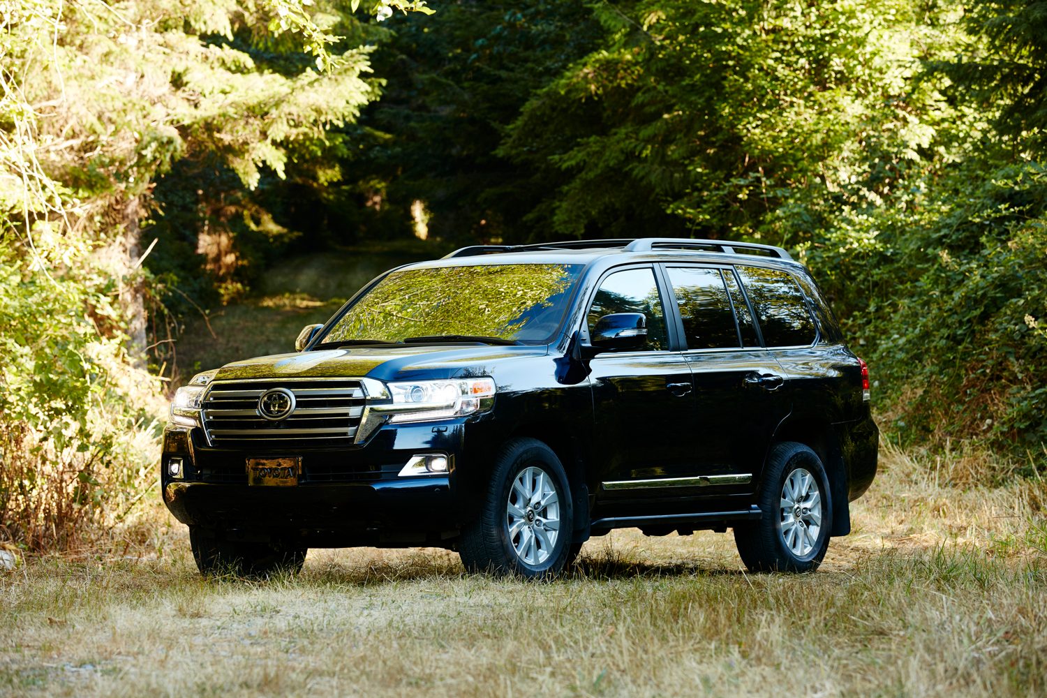 revision toyota land cruiser 2019 2018 14