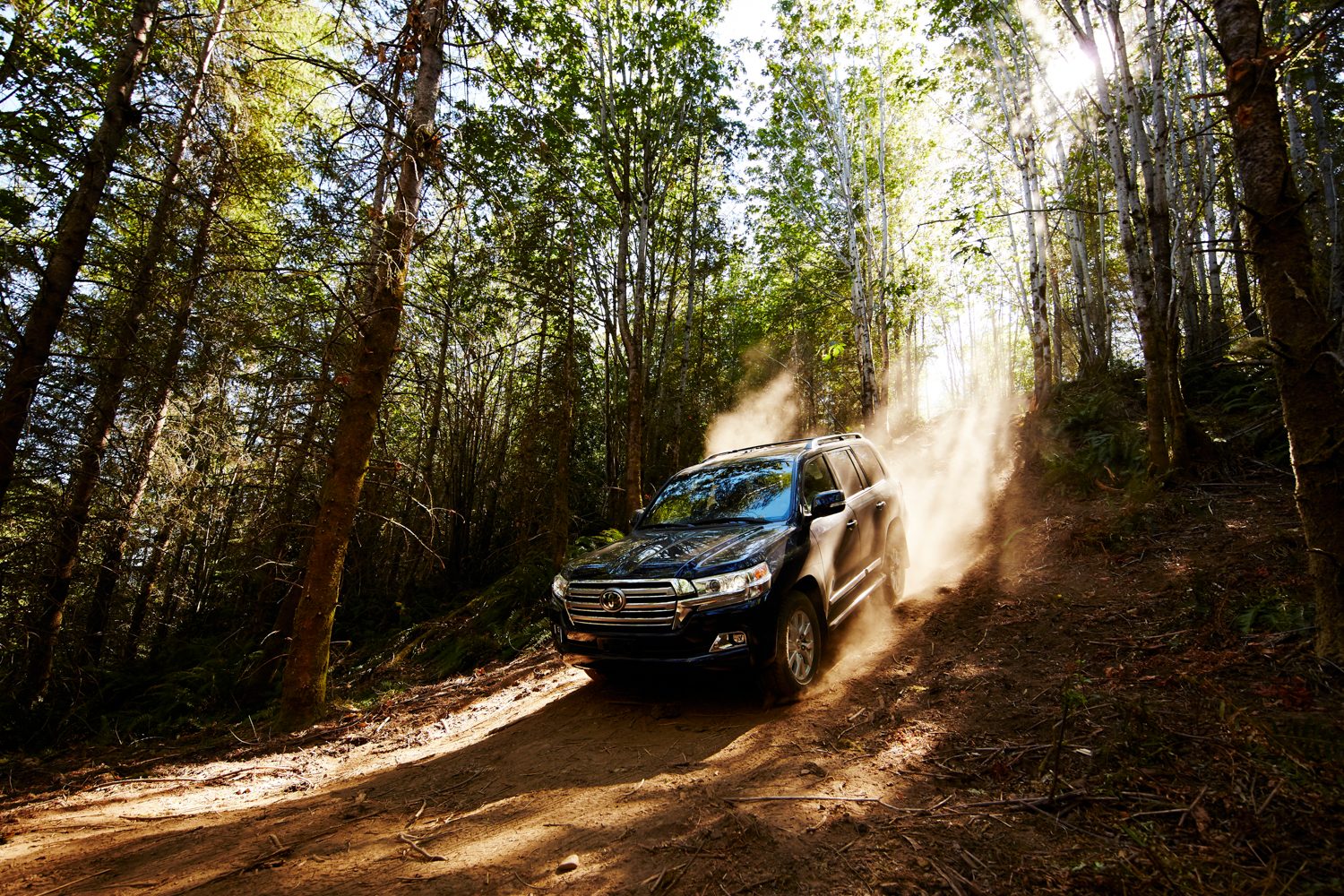 revision toyota land cruiser 2019 2018 2