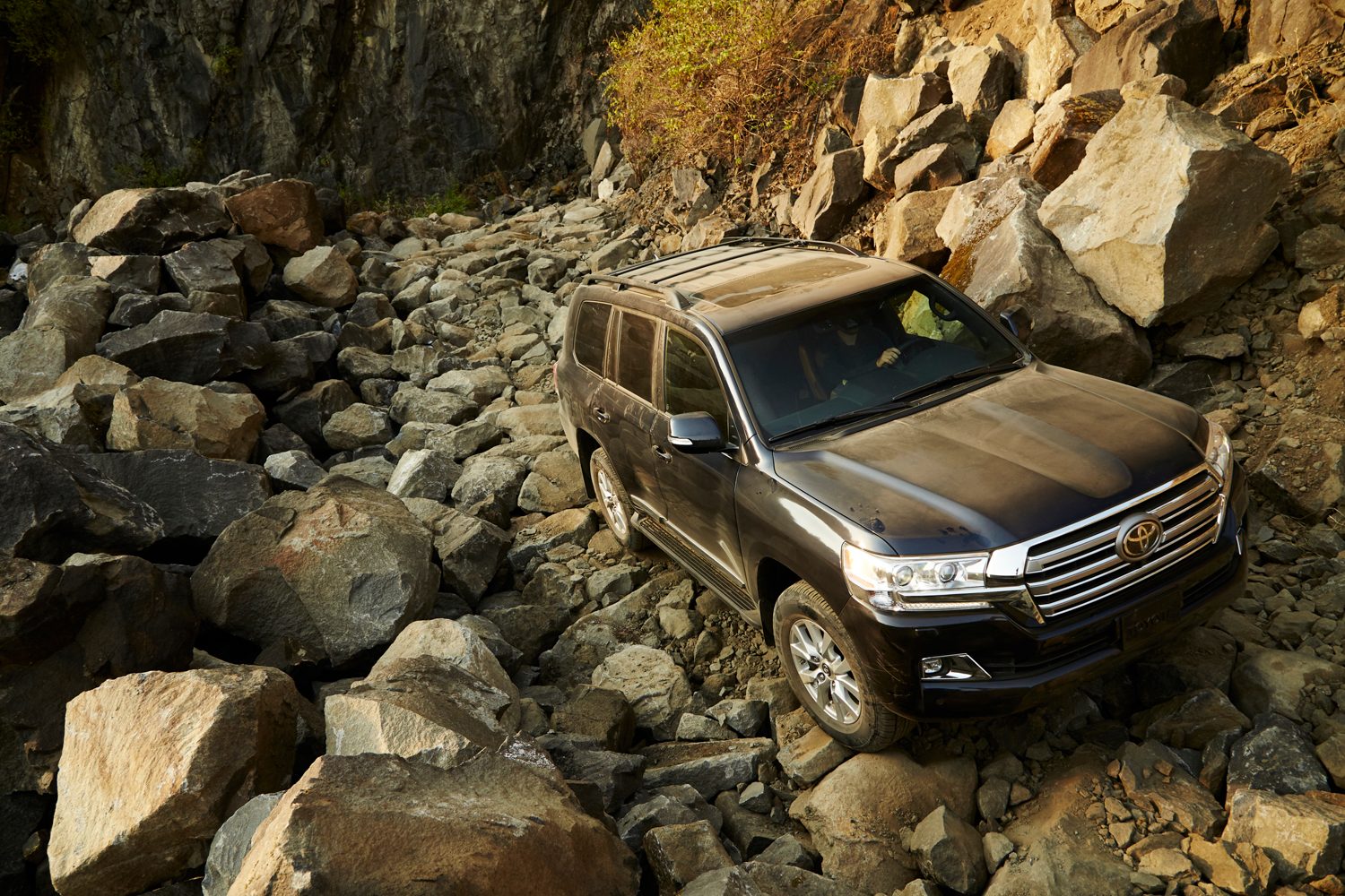 revision toyota land cruiser 2019 2018 4